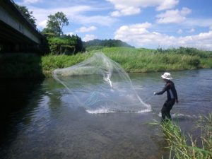 河川生物調査